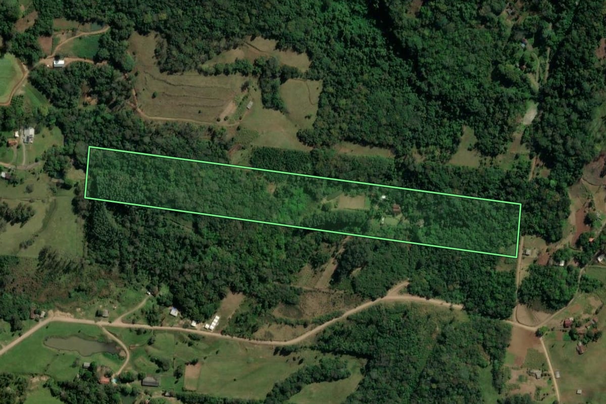 Imagem de satélite do imóvel rural em Igrejinha (RS), com o contorno declarado no CAR desenhado por cima.