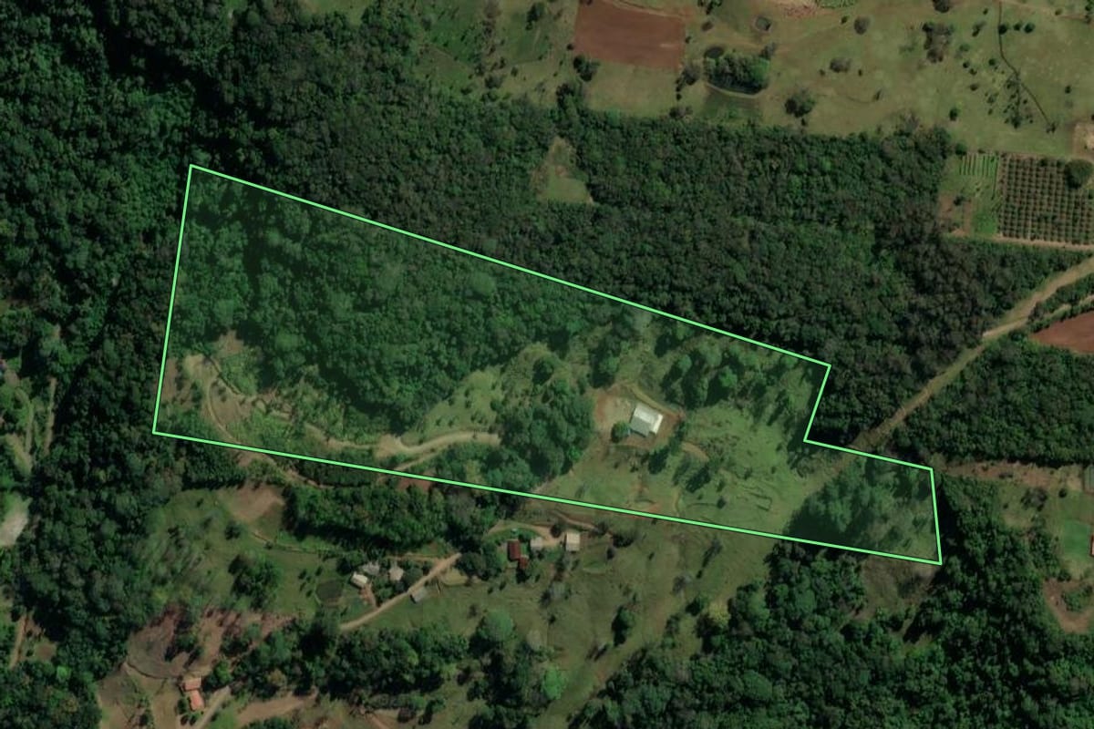 Imagem de satélite do imóvel rural em Igrejinha (RS), com o contorno declarado no CAR desenhado por cima.