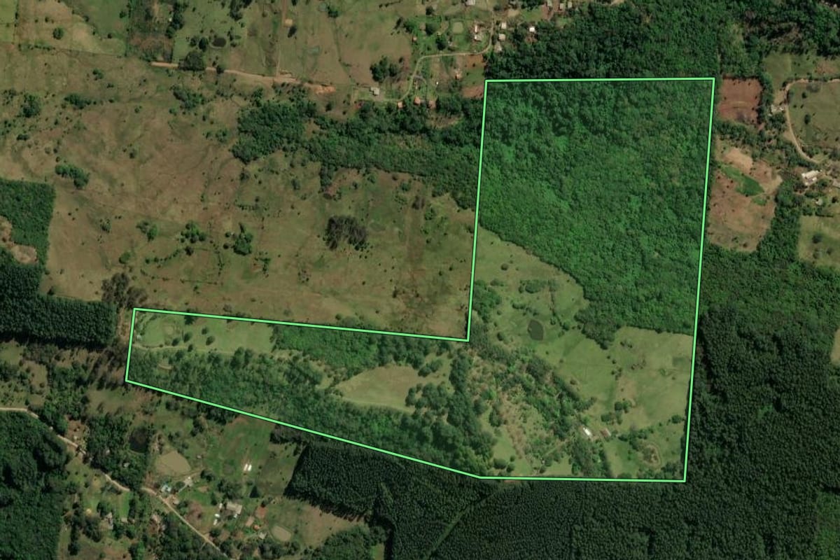 Imagem de satélite do imóvel rural em Igrejinha (RS), com o contorno declarado no CAR desenhado por cima.