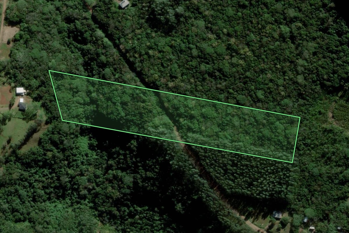 Imagem de satélite do imóvel rural em Igrejinha (RS), com o contorno declarado no CAR desenhado por cima.