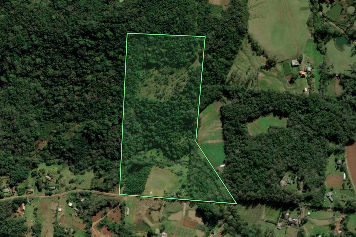Imagem de satélite do imóvel rural em Igrejinha (RS), com o contorno declarado no CAR desenhado por cima.