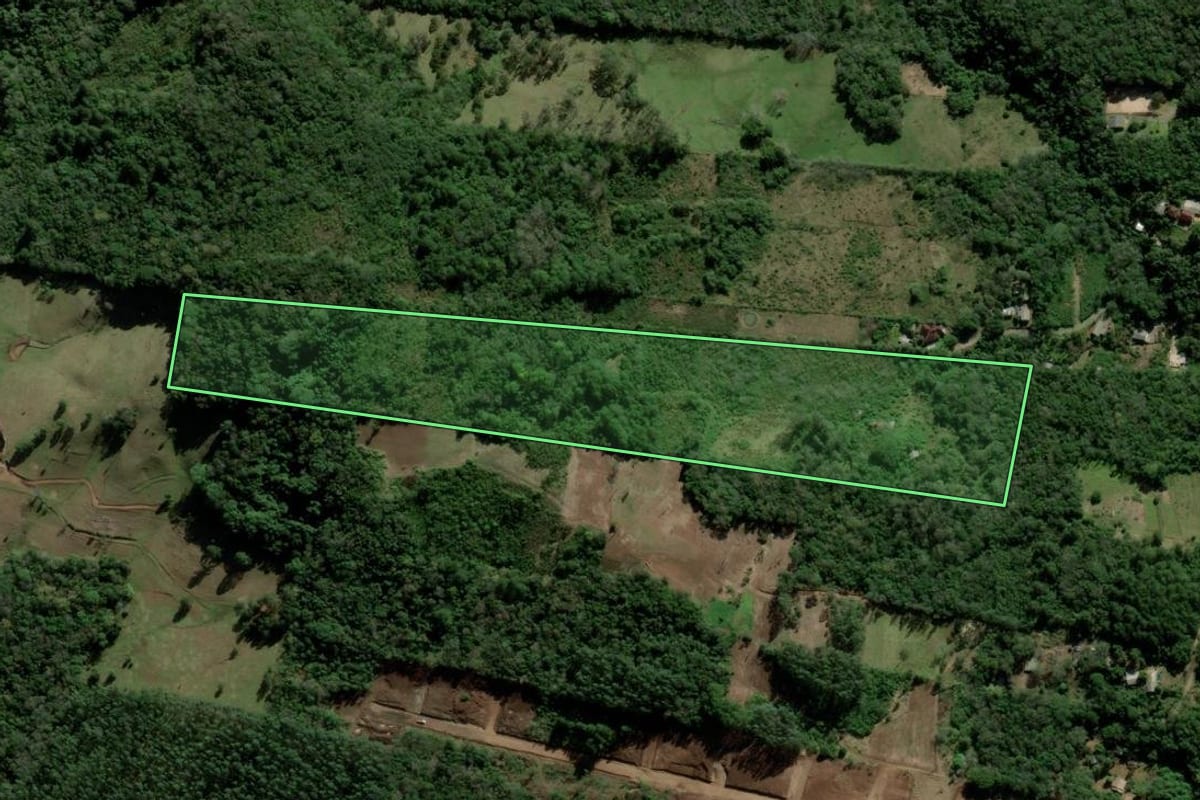 Imagem de satélite do imóvel rural em Igrejinha (RS), com o contorno declarado no CAR desenhado por cima.