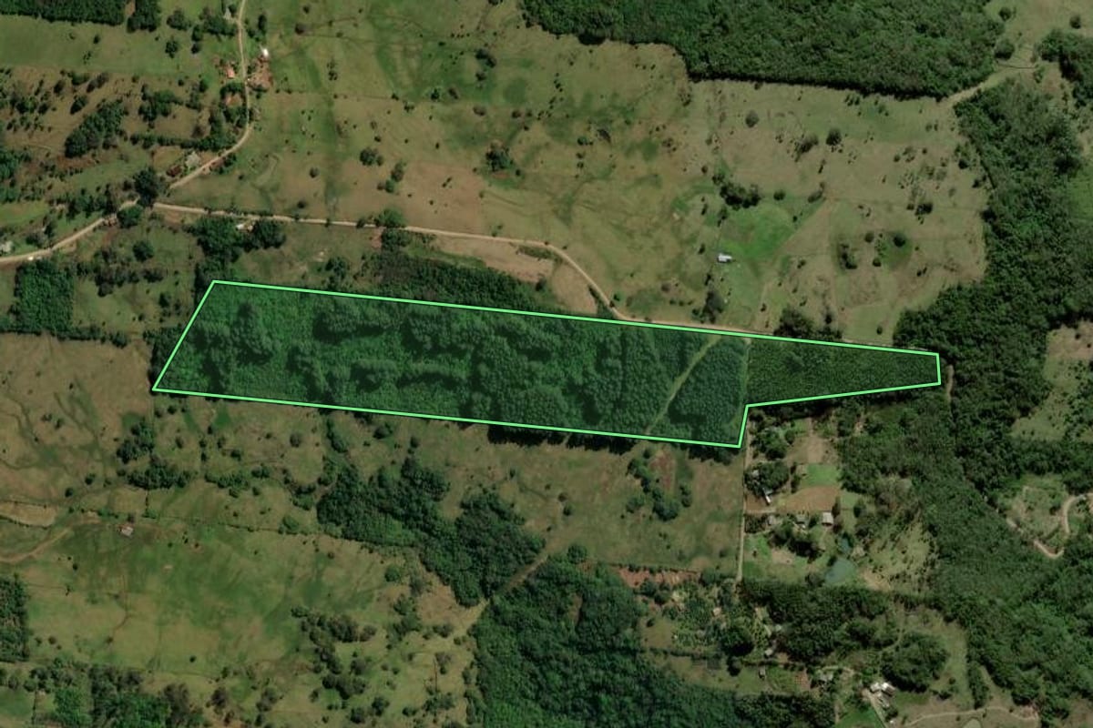 Imagem de satélite do imóvel rural em Igrejinha (RS), com o contorno declarado no CAR desenhado por cima.