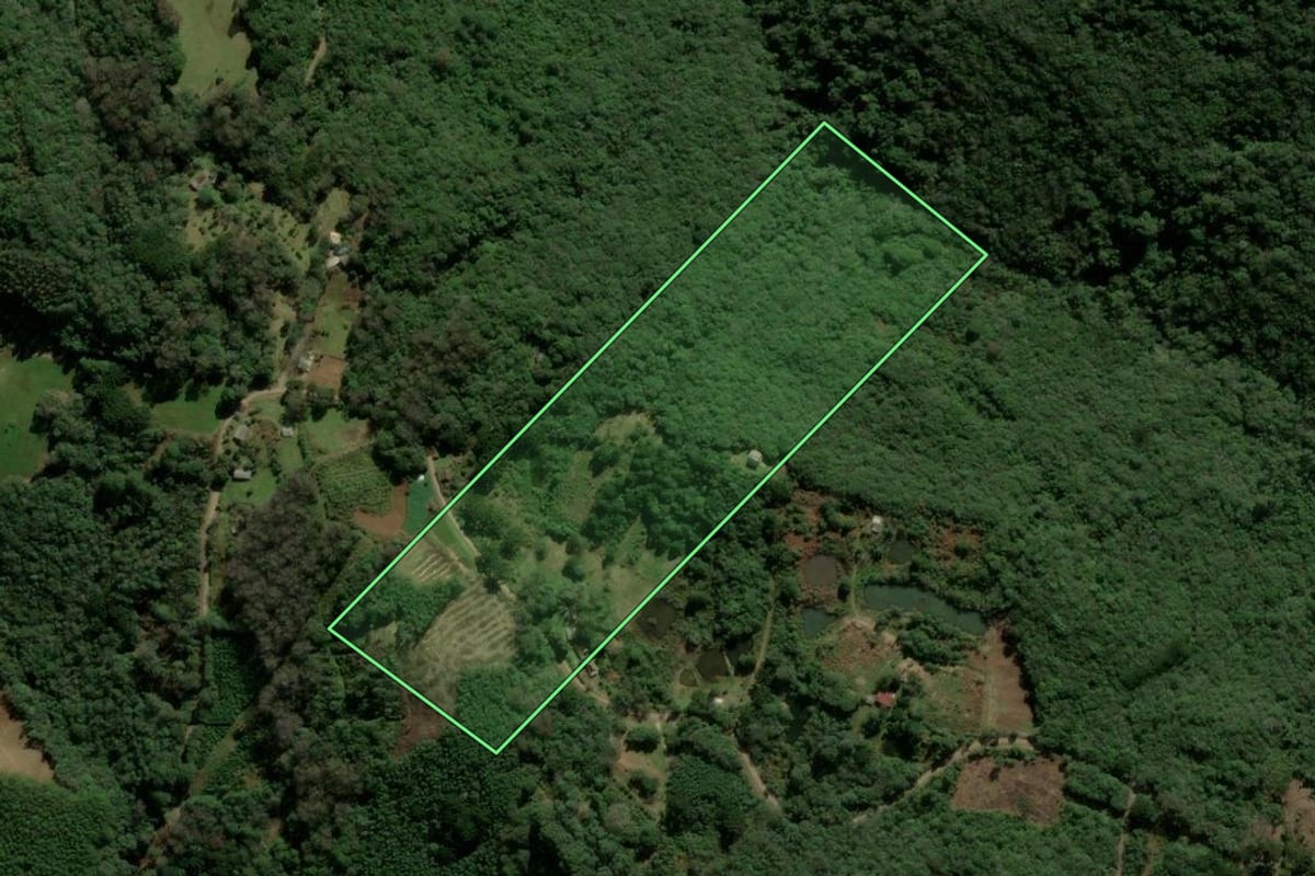 Imagem de satélite do imóvel rural em Igrejinha (RS), com o contorno declarado no CAR desenhado por cima.