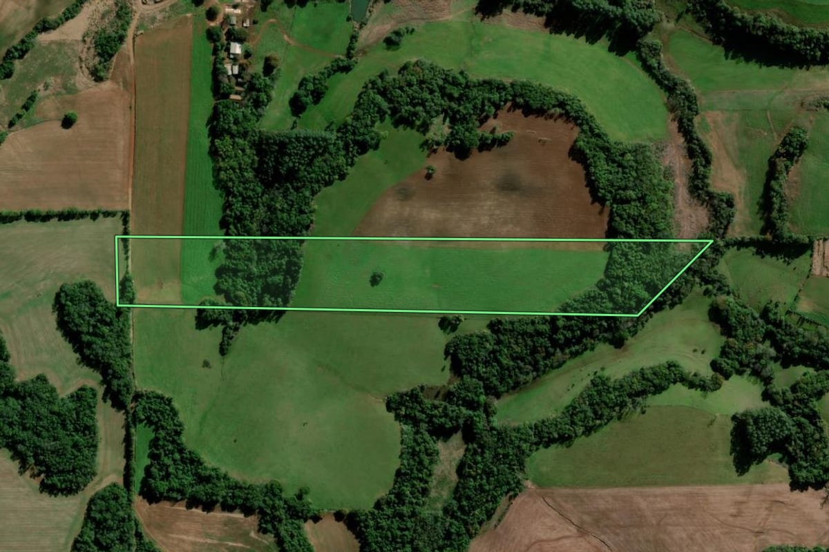 Imagem de satélite do imóvel rural em Ijuí (RS), com o contorno declarado no CAR desenhado por cima.