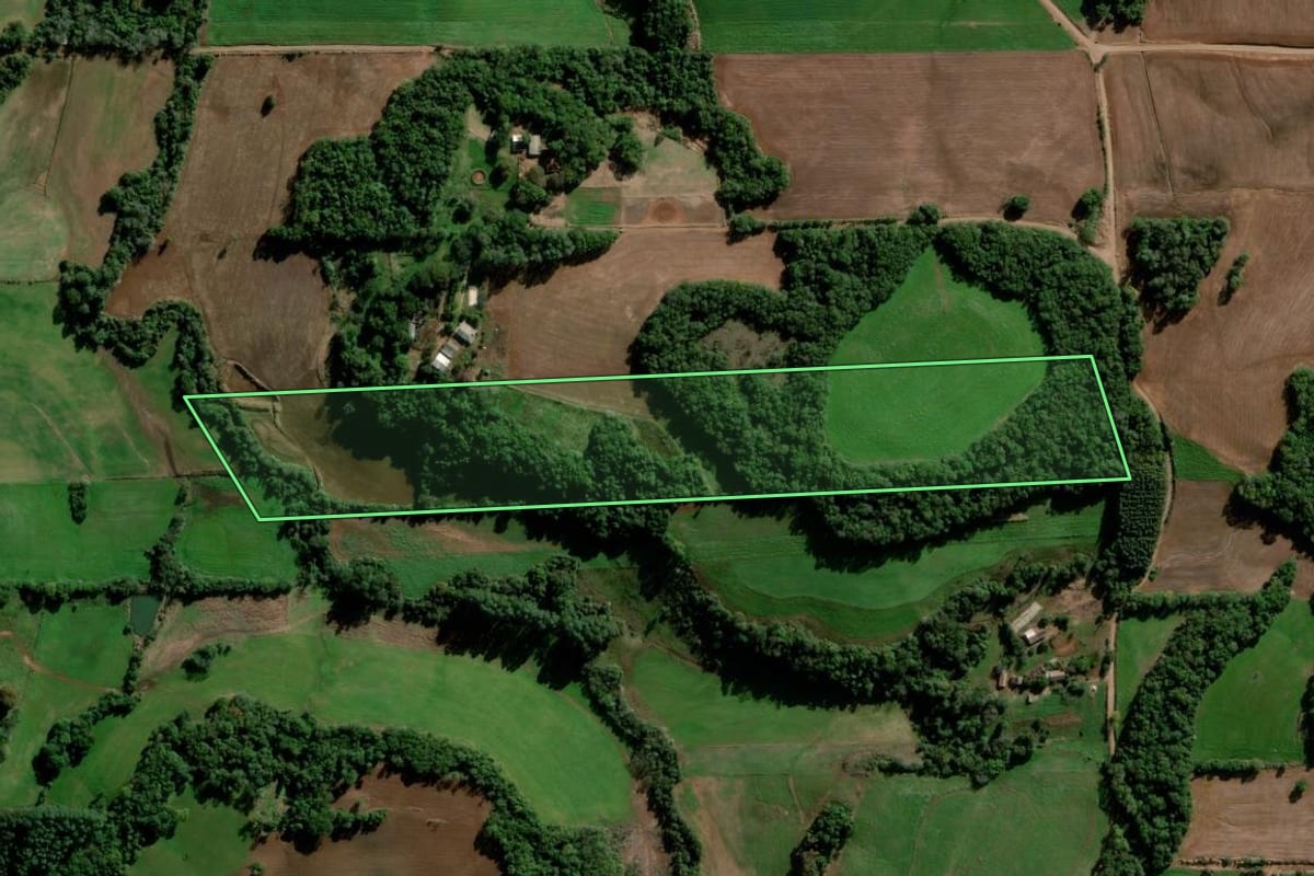 Imagem de satélite do imóvel rural em Ijuí (RS), com o contorno declarado no CAR desenhado por cima.