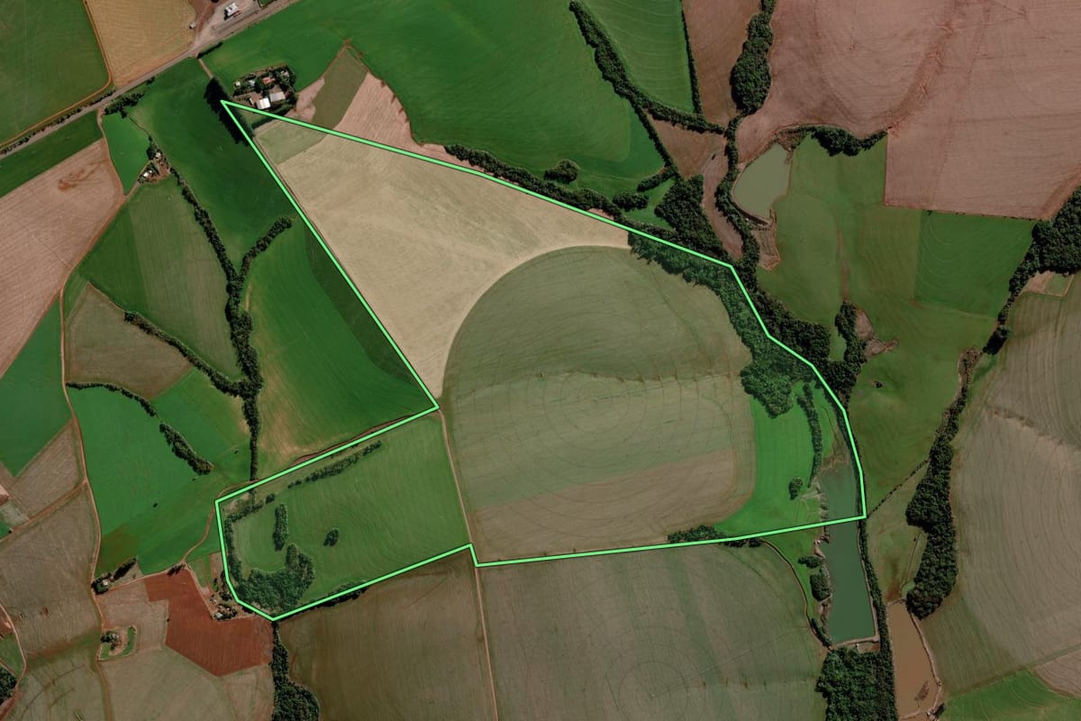 Imagem de satélite do imóvel rural em Ijuí (RS), com o contorno declarado no CAR desenhado por cima.