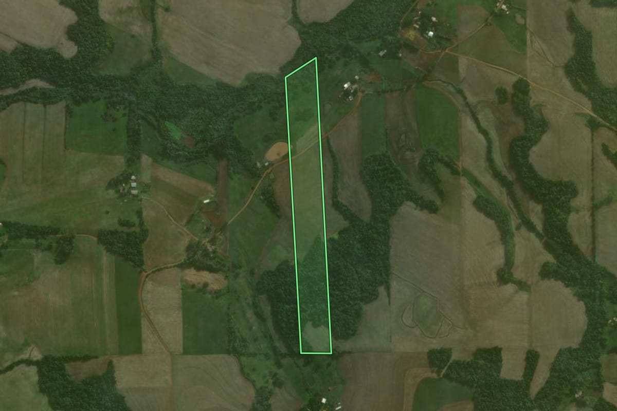 Imagem de satélite do imóvel rural em Ijuí (RS), com o contorno declarado no CAR desenhado por cima.