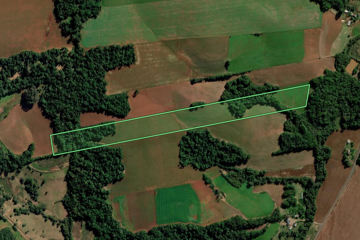 Imagem de satélite do imóvel rural em Ijuí (RS), com o contorno declarado no CAR desenhado por cima.