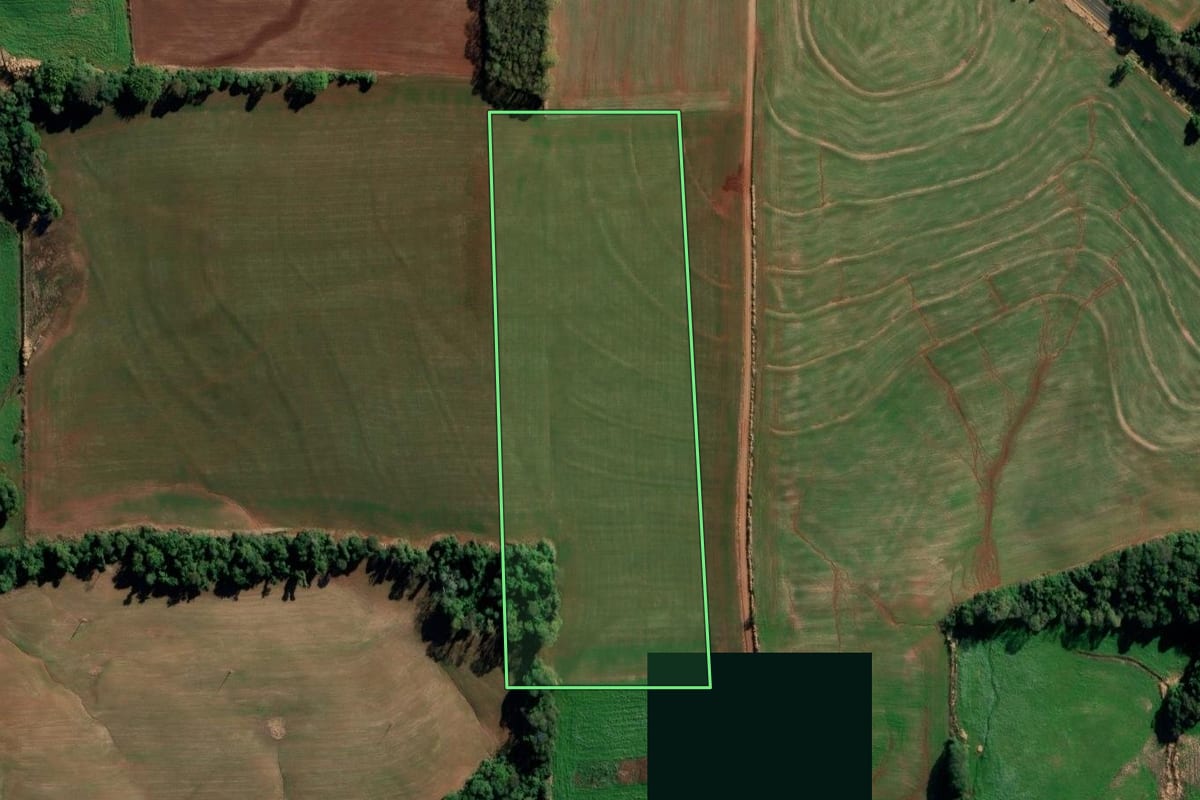 Imagem de satélite do imóvel rural em Ijuí (RS), com o contorno declarado no CAR desenhado por cima.