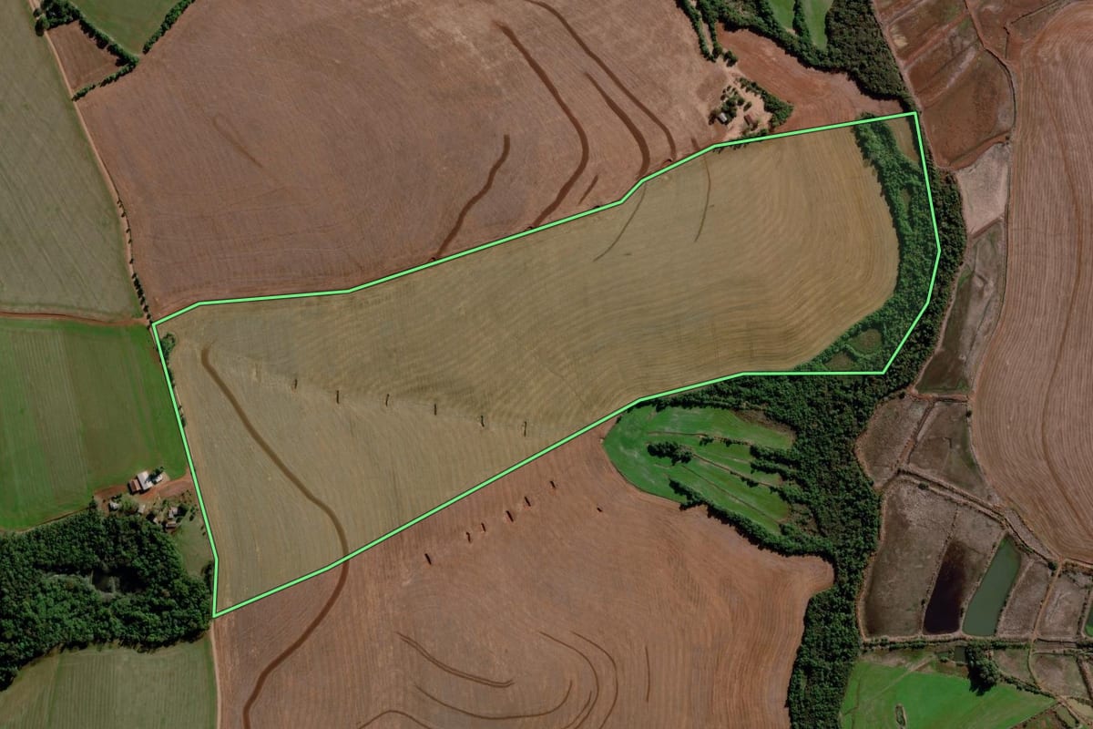 Imagem de satélite do imóvel rural em Ijuí (RS), com o contorno declarado no CAR desenhado por cima.
