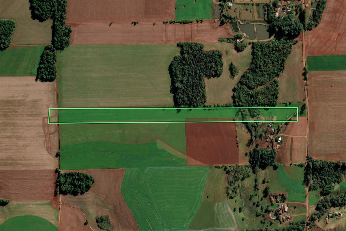 Imagem de satélite do imóvel rural em Ijuí (RS), com o contorno declarado no CAR desenhado por cima.