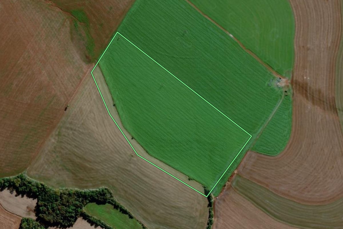 Imagem de satélite do imóvel rural em Ijuí (RS), com o contorno declarado no CAR desenhado por cima.