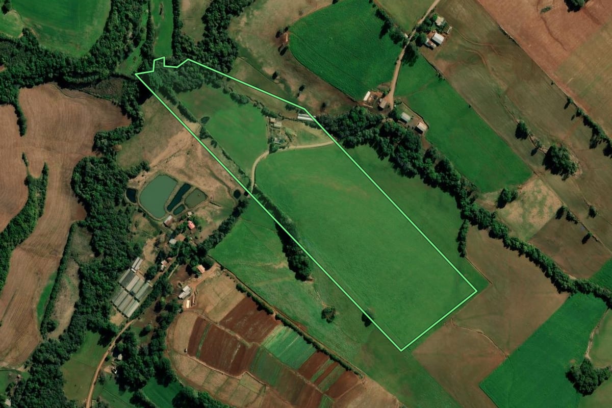 Imagem de satélite do imóvel rural em Ijuí (RS), com o contorno declarado no CAR desenhado por cima.