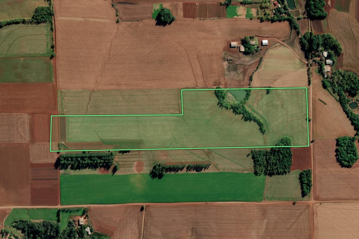Imagem de satélite do imóvel rural em Ijuí (RS), com o contorno declarado no CAR desenhado por cima.