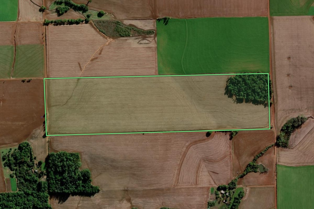 Imagem de satélite do imóvel rural em Ijuí (RS), com o contorno declarado no CAR desenhado por cima.