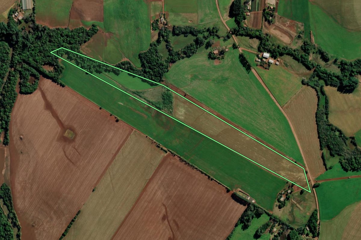 Imagem de satélite do imóvel rural em Ijuí (RS), com o contorno declarado no CAR desenhado por cima.