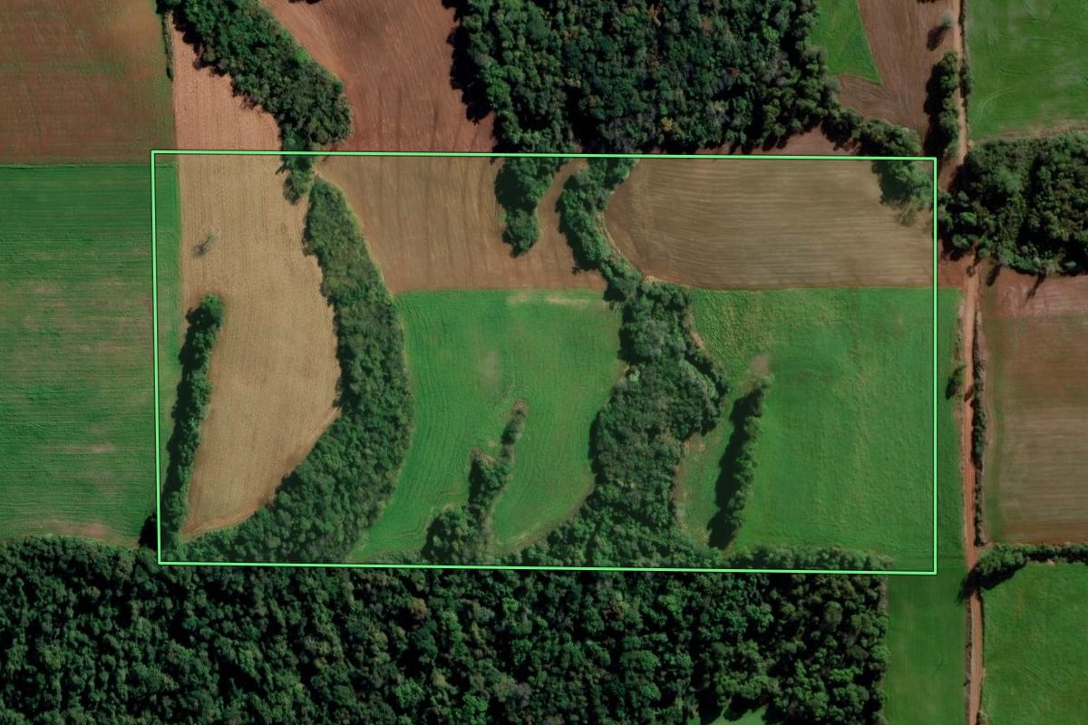 Imagem de satélite do imóvel rural em Ijuí (RS), com o contorno declarado no CAR desenhado por cima.