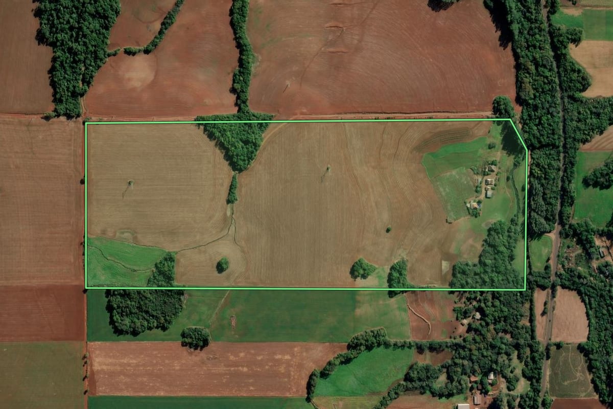 Imagem de satélite do imóvel rural em Ijuí (RS), com o contorno declarado no CAR desenhado por cima.