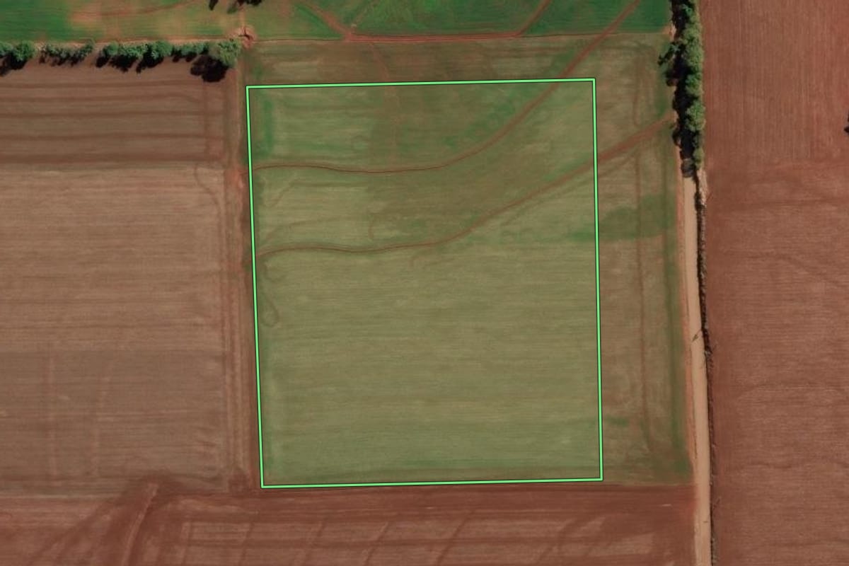 Imagem de satélite do imóvel rural em Ijuí (RS), com o contorno declarado no CAR desenhado por cima.