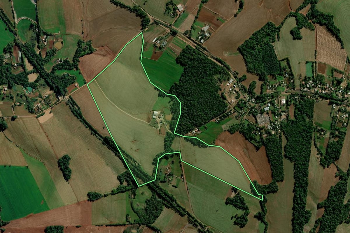 Imagem de satélite do imóvel rural em Ijuí (RS), com o contorno declarado no CAR desenhado por cima.