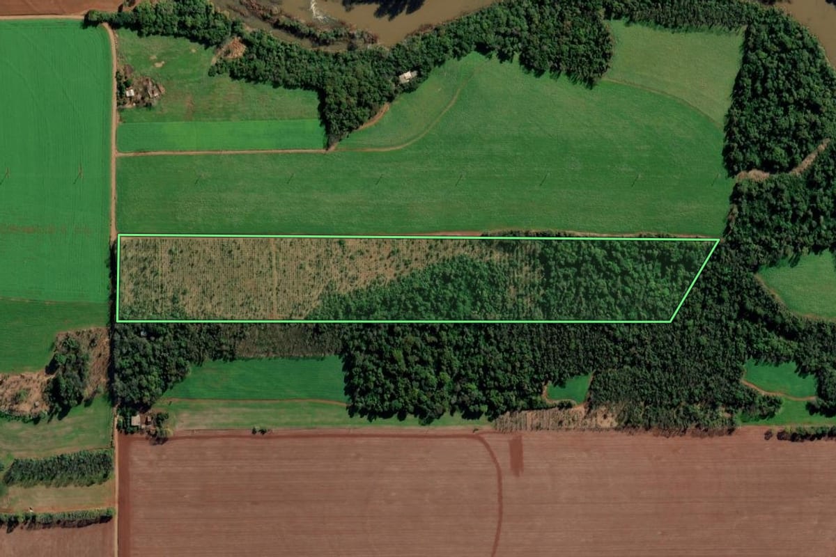Imagem de satélite do imóvel rural em Ijuí (RS), com o contorno declarado no CAR desenhado por cima.