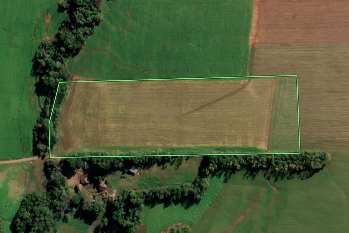 Imagem de satélite do imóvel rural em Ijuí (RS), com o contorno declarado no CAR desenhado por cima.