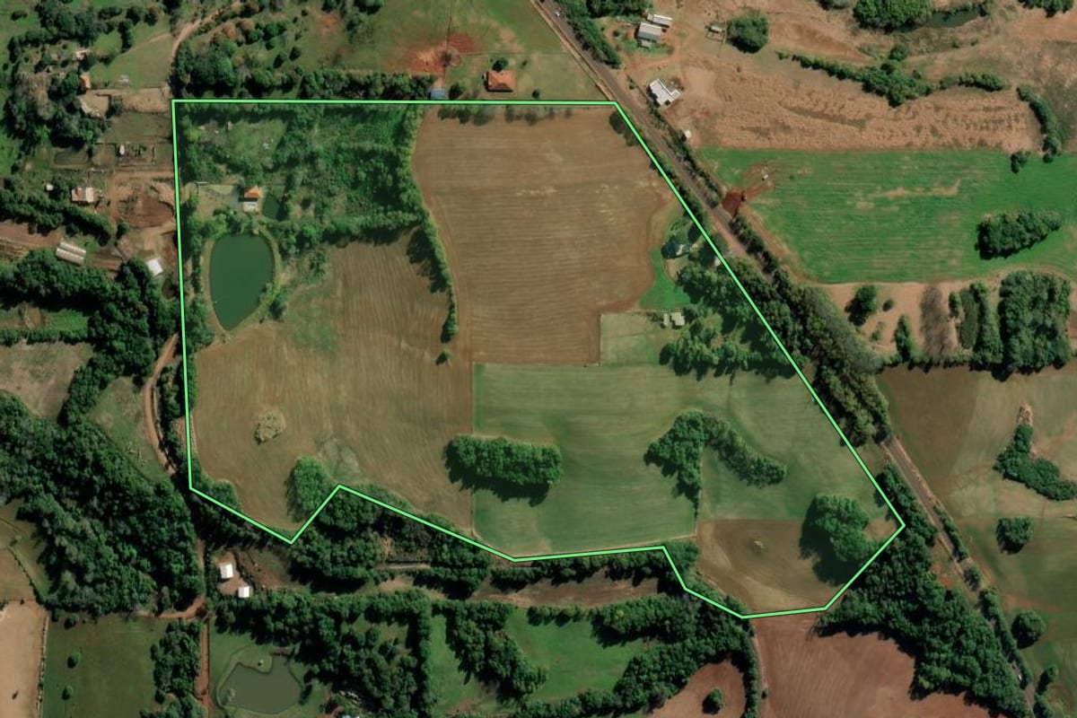 Imagem de satélite do imóvel rural em Ijuí (RS), com o contorno declarado no CAR desenhado por cima.