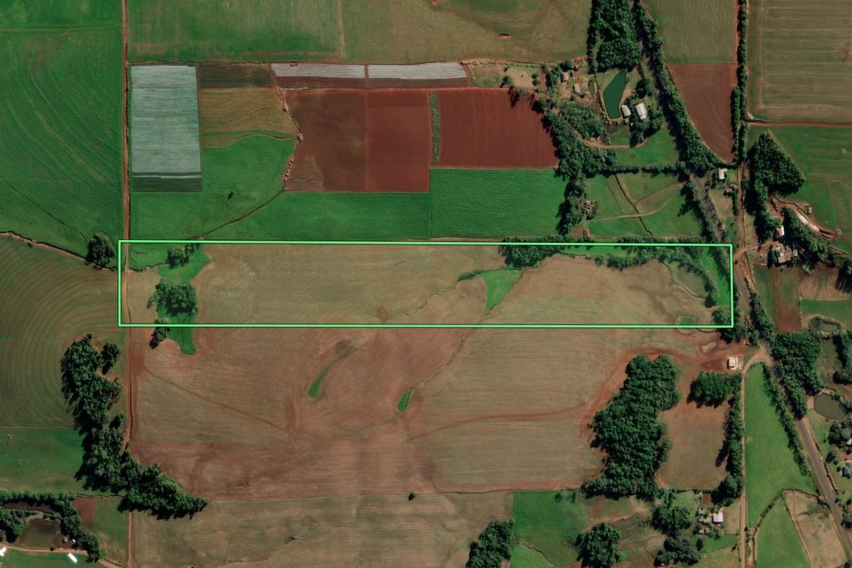 Imagem de satélite do imóvel rural em Ijuí (RS), com o contorno declarado no CAR desenhado por cima.