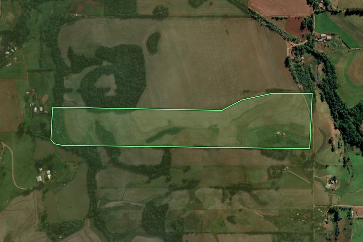 Imagem de satélite do imóvel rural em Ijuí (RS), com o contorno declarado no CAR desenhado por cima.
