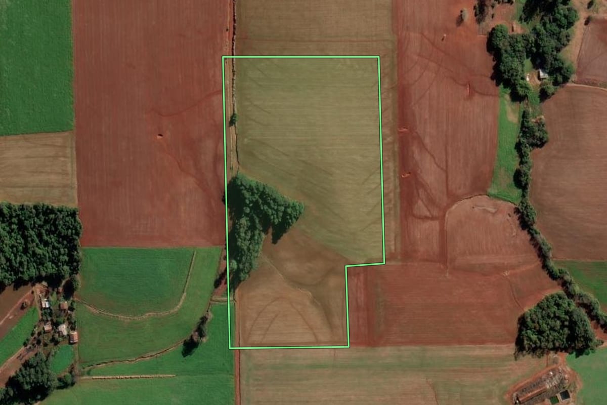 Imagem de satélite do imóvel rural em Ijuí (RS), com o contorno declarado no CAR desenhado por cima.