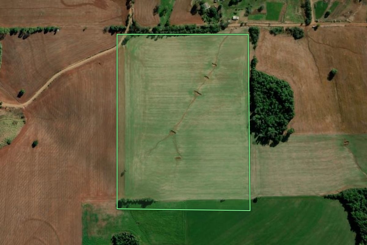 Imagem de satélite do imóvel rural em Ijuí (RS), com o contorno declarado no CAR desenhado por cima.