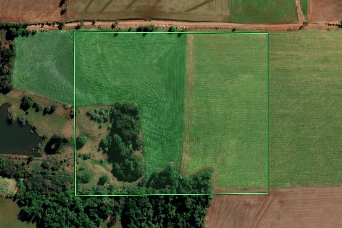 Imagem de satélite do imóvel rural em Ijuí (RS), com o contorno declarado no CAR desenhado por cima.