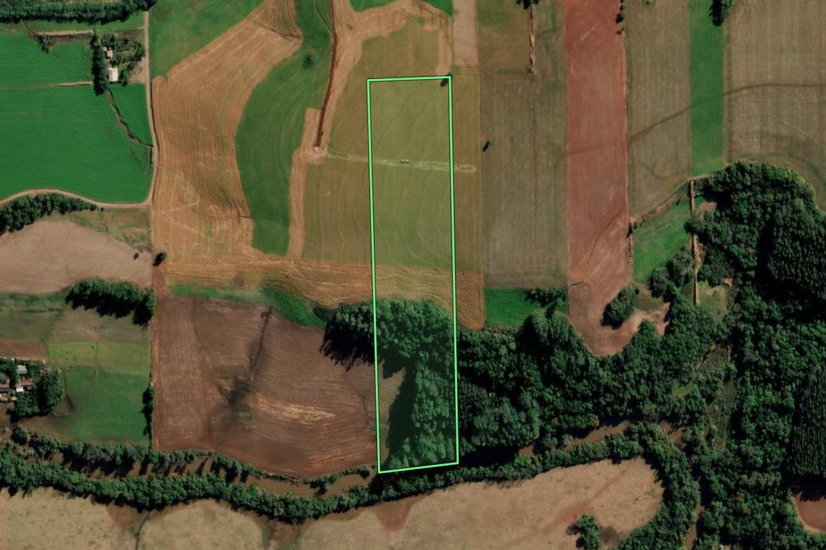 Imagem de satélite do imóvel rural em Ijuí (RS), com o contorno declarado no CAR desenhado por cima.