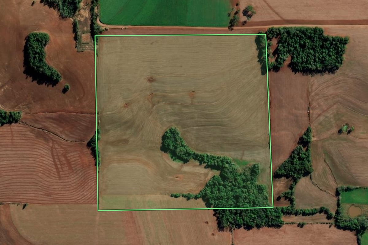 Imagem de satélite do imóvel rural em Ijuí (RS), com o contorno declarado no CAR desenhado por cima.