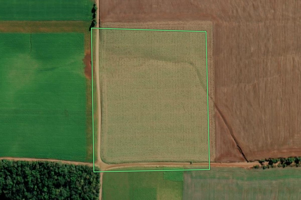 Imagem de satélite do imóvel rural em Ijuí (RS), com o contorno declarado no CAR desenhado por cima.