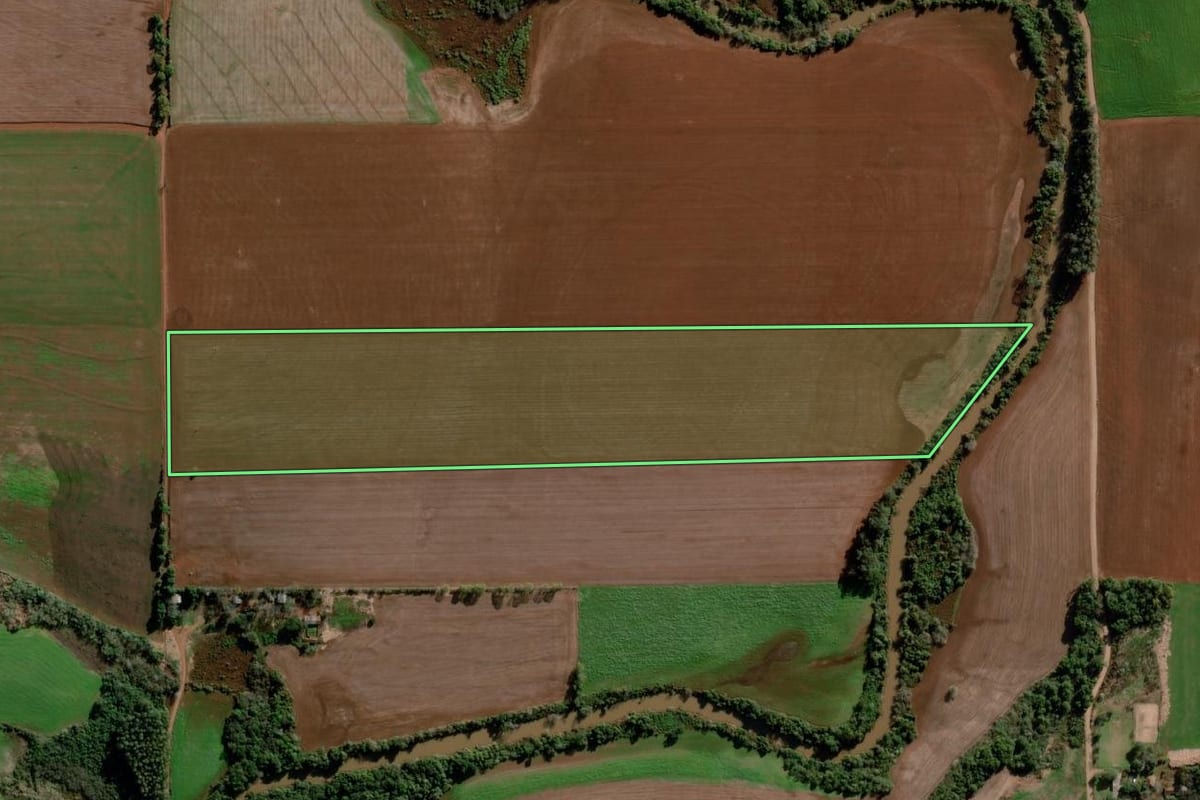 Imagem de satélite do imóvel rural em Ijuí (RS), com o contorno declarado no CAR desenhado por cima.