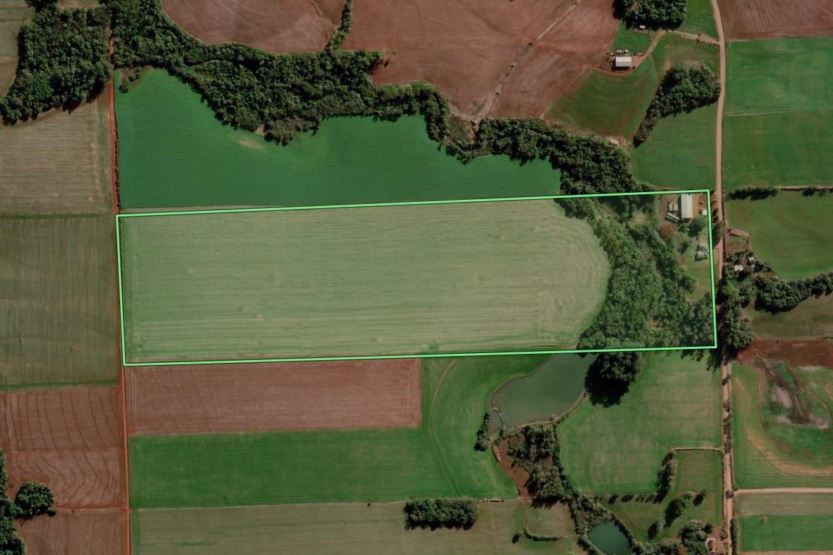 Imagem de satélite do imóvel rural em Ijuí (RS), com o contorno declarado no CAR desenhado por cima.