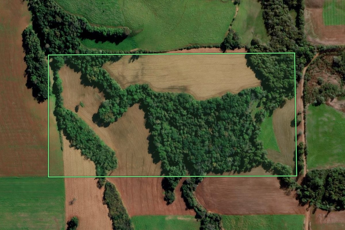 Imagem de satélite do imóvel rural em Ijuí (RS), com o contorno declarado no CAR desenhado por cima.