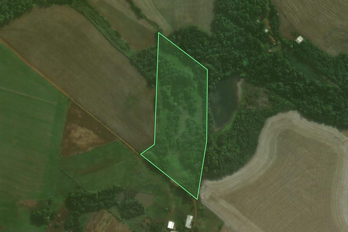 Imagem de satélite do imóvel rural em Ijuí (RS), com o contorno declarado no CAR desenhado por cima.