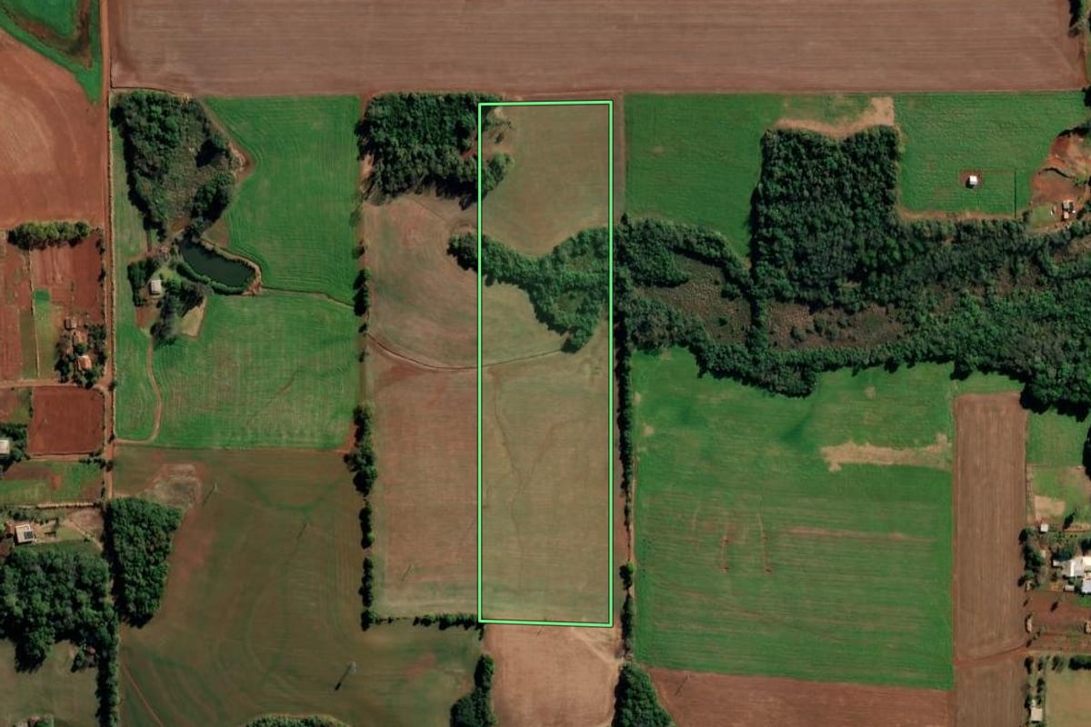 Imagem de satélite do imóvel rural em Ijuí (RS), com o contorno declarado no CAR desenhado por cima.