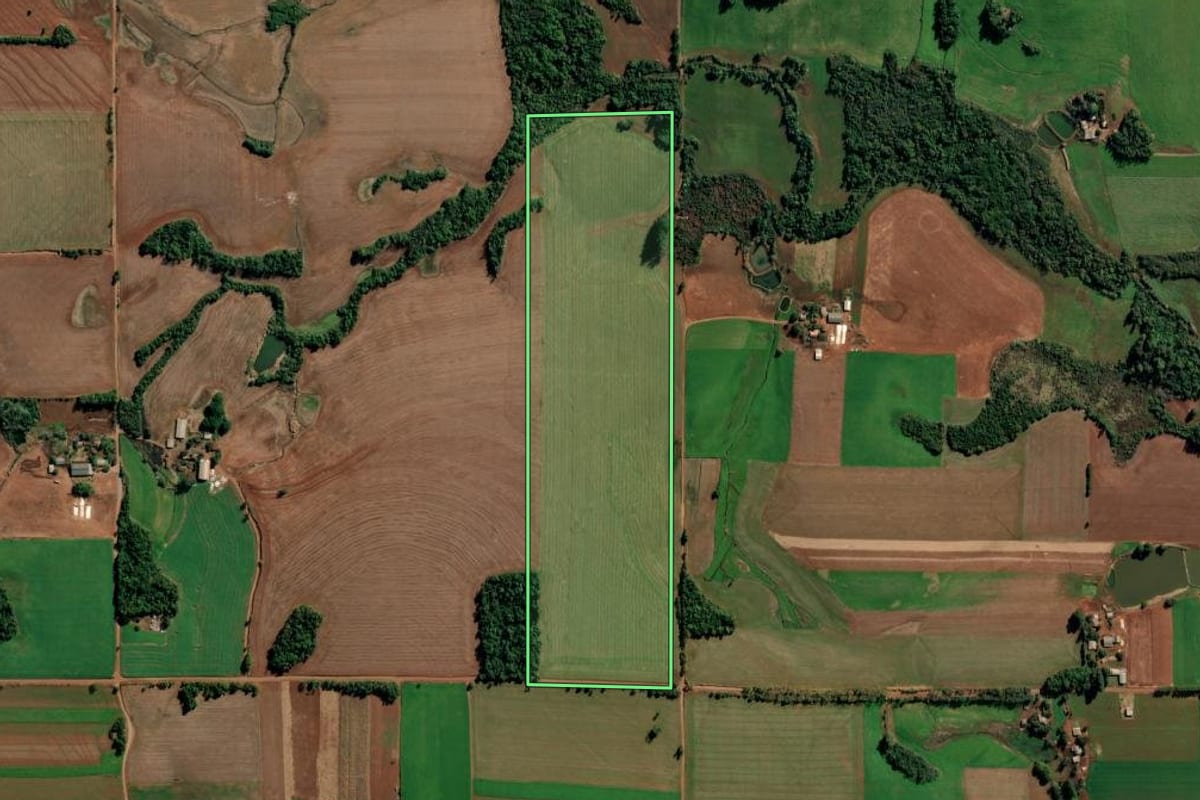 Imagem de satélite do imóvel rural em Ijuí (RS), com o contorno declarado no CAR desenhado por cima.