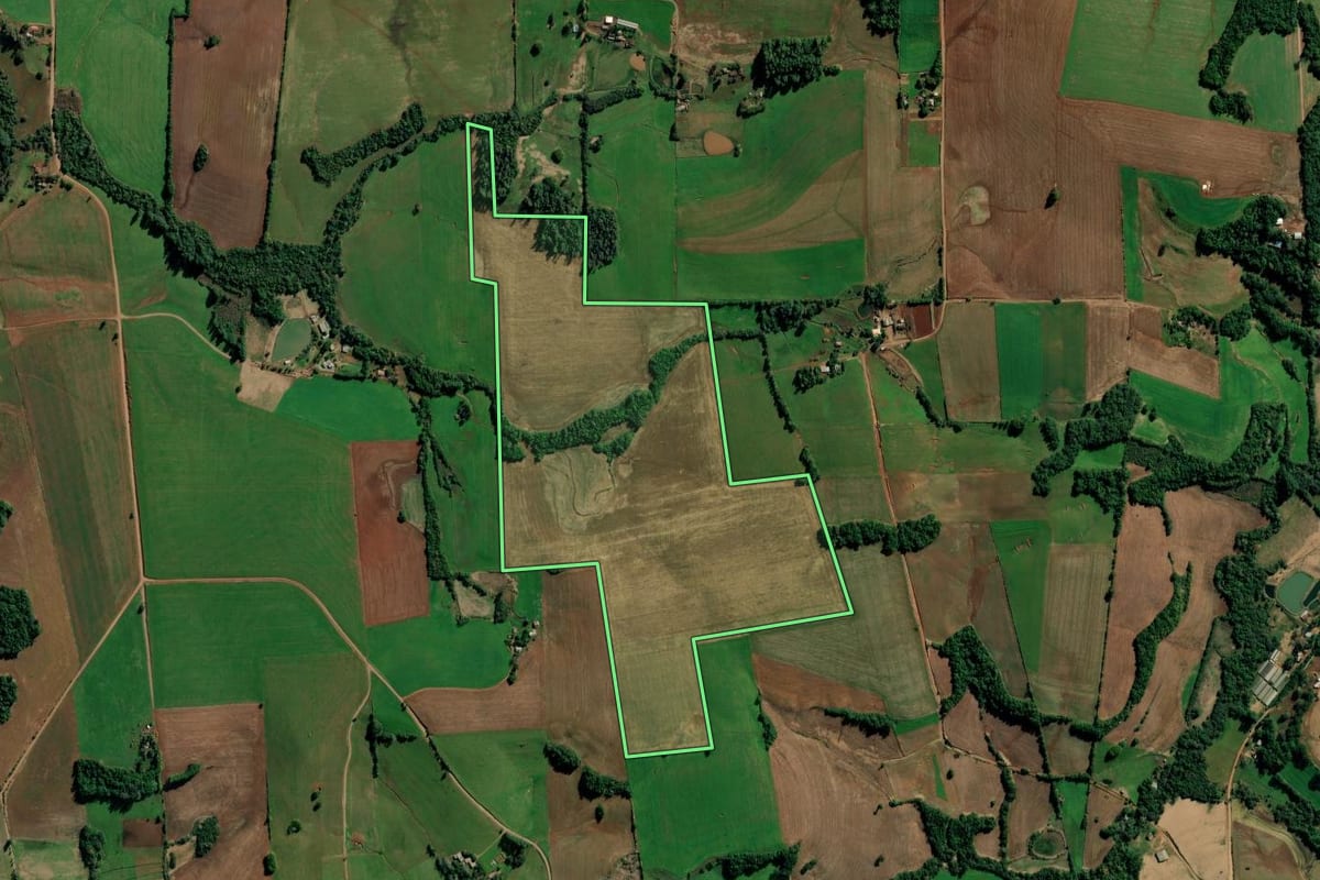 Imagem de satélite do imóvel rural em Ijuí (RS), com o contorno declarado no CAR desenhado por cima.
