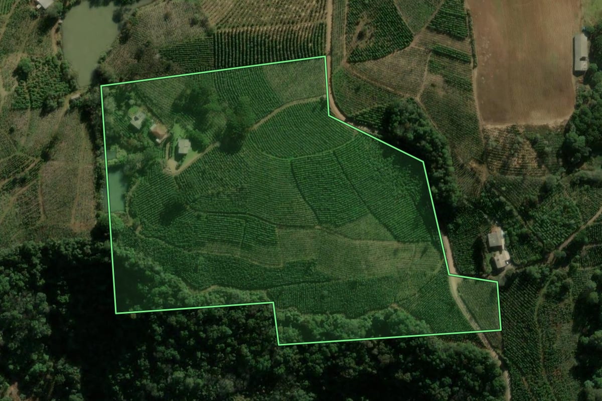 Imagem de satélite do imóvel rural em Ilópolis (RS), com o contorno declarado no CAR desenhado por cima.