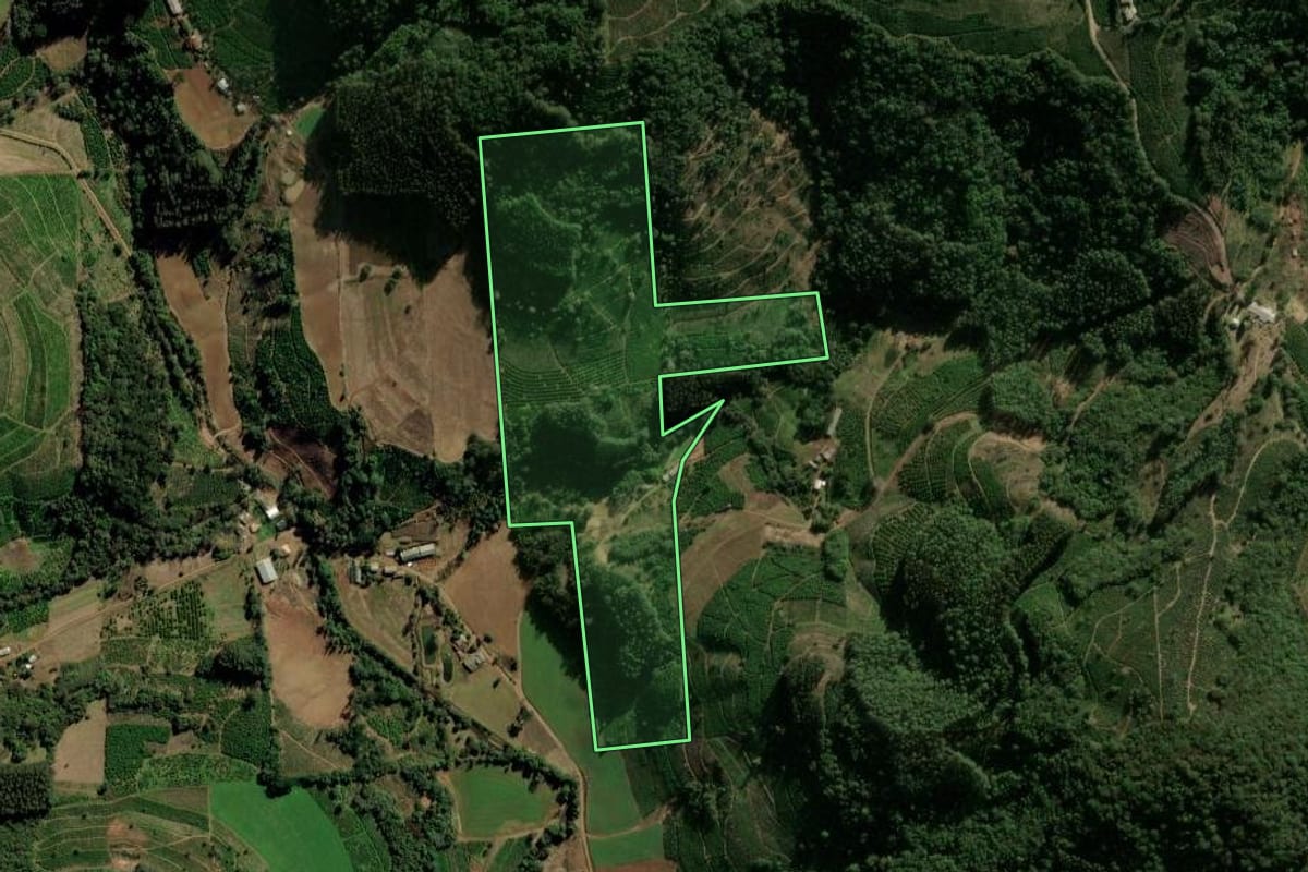 Imagem de satélite do imóvel rural em Ilópolis (RS), com o contorno declarado no CAR desenhado por cima.