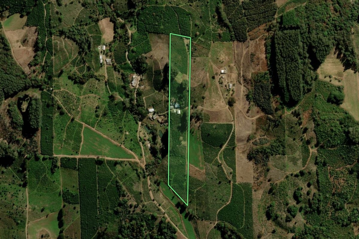 Imagem de satélite do imóvel rural em Ilópolis (RS), com o contorno declarado no CAR desenhado por cima.