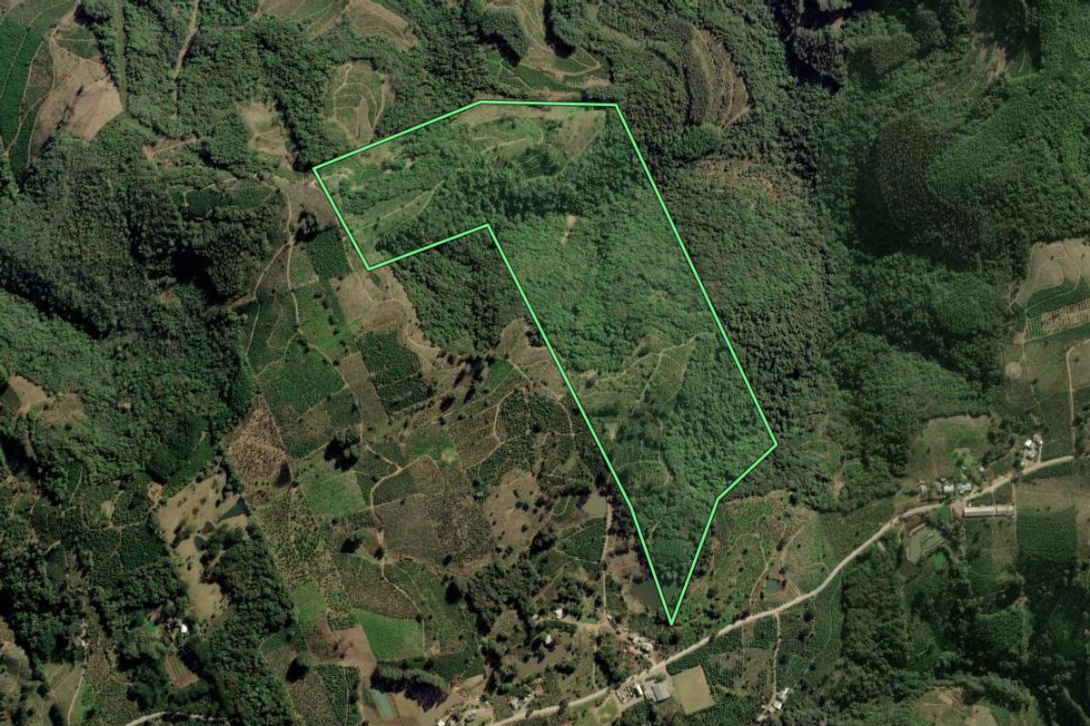 Imagem de satélite do imóvel rural em Ilópolis (RS), com o contorno declarado no CAR desenhado por cima.