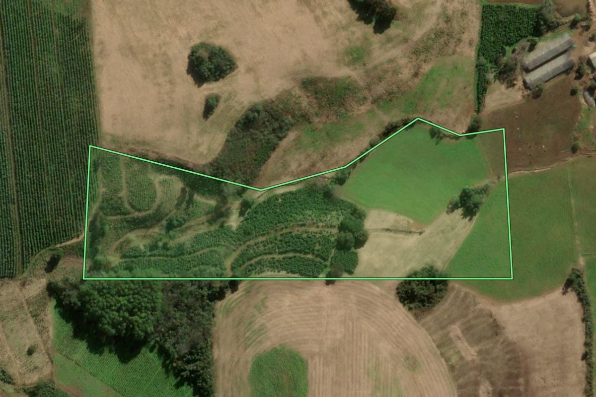 Imagem de satélite do imóvel rural em Ilópolis (RS), com o contorno declarado no CAR desenhado por cima.