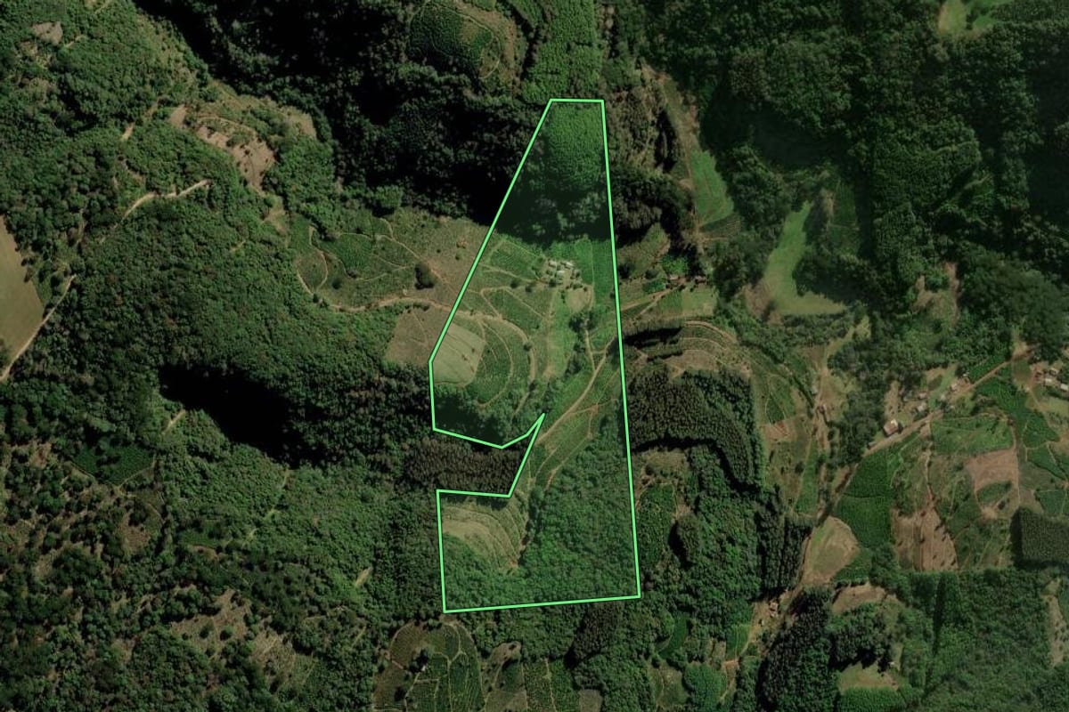 Imagem de satélite do imóvel rural em Ilópolis (RS), com o contorno declarado no CAR desenhado por cima.