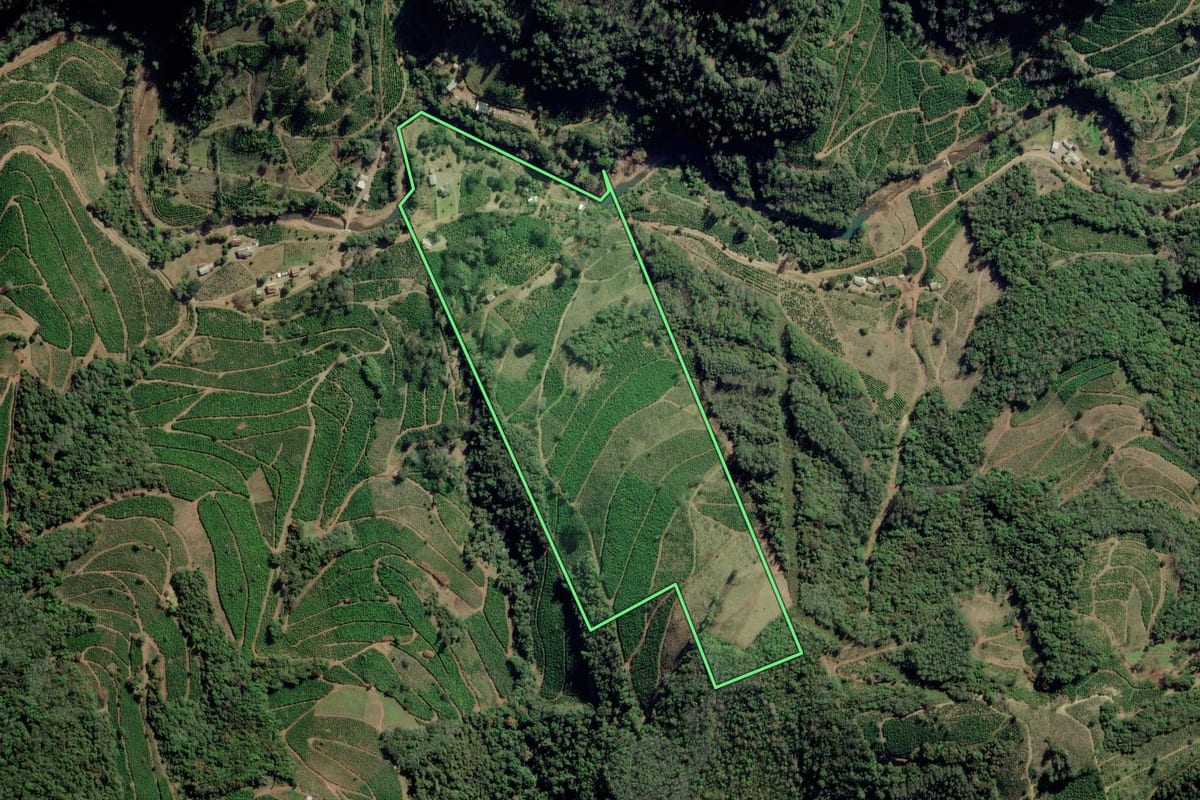 Imagem de satélite do imóvel rural em Ilópolis (RS), com o contorno declarado no CAR desenhado por cima.